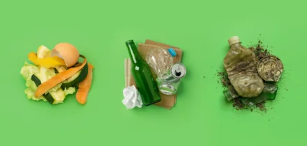 Вы точно знаете, что делать с мусором на природе?