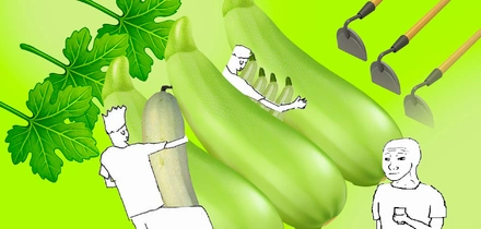 Тренд на кабачки: как овощ стал мемом и символом заботы