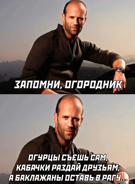 Тренд на кабачки: как овощ стал мемом и символом заботы