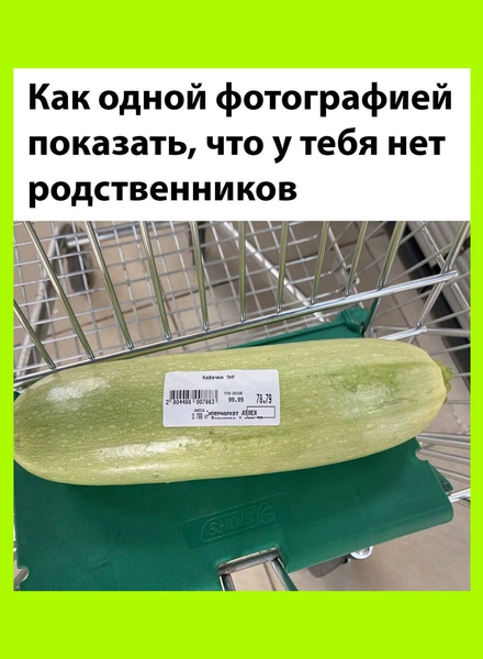 Тренд на кабачки: как овощ стал мемом и символом заботы