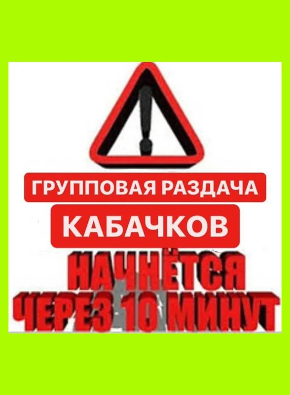 Тренд на кабачки: как овощ стал мемом и символом заботы