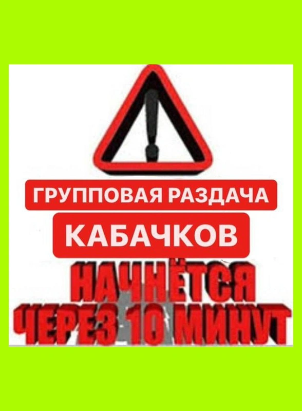 Тренд на кабачки: как овощ стал мемом и символом заботы