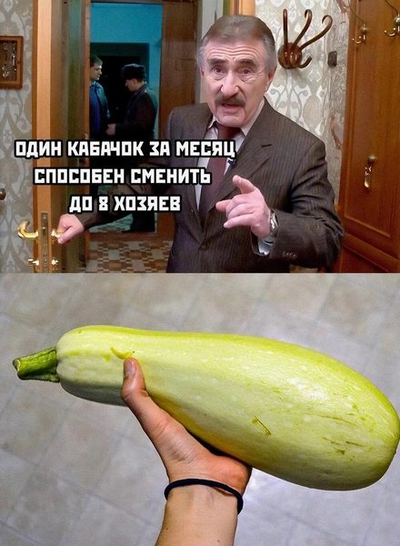 Тренд на кабачки: как овощ стал мемом и символом заботы