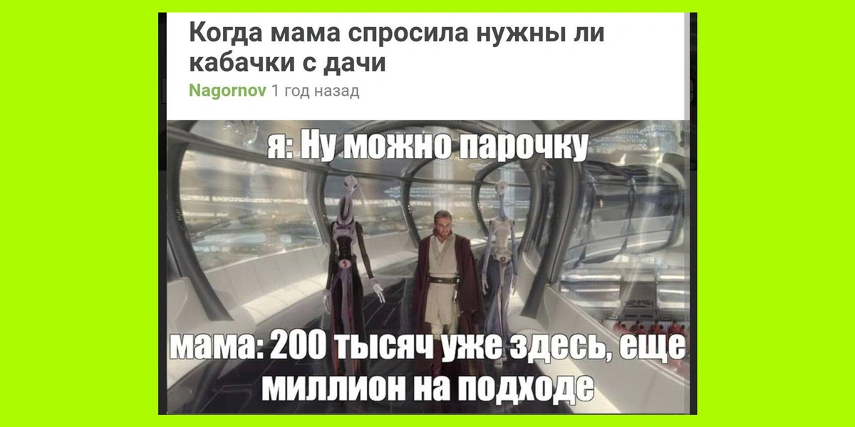 Тренд на кабачки: как овощ стал мемом и символом заботы