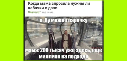 Тренд на кабачки: как овощ стал мемом и символом заботы