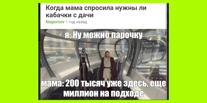 Тренд на кабачки: как овощ стал мемом и символом заботы