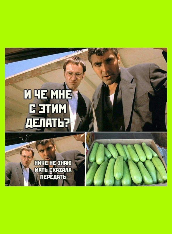 Тренд на кабачки: как овощ стал мемом и символом заботы