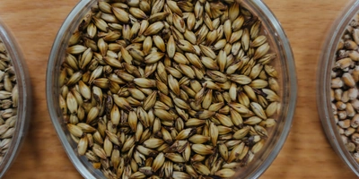 Не «просто добавь воды»: как делают безалкогольное пиво