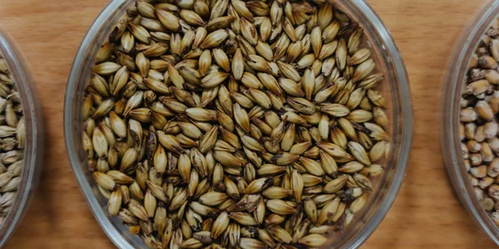 Не «просто добавь воды»: как делают безалкогольное пиво