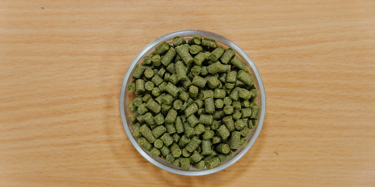 Не «просто добавь воды»: как делают безалкогольное пиво