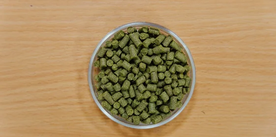 Не «просто добавь воды»: как делают безалкогольное пиво