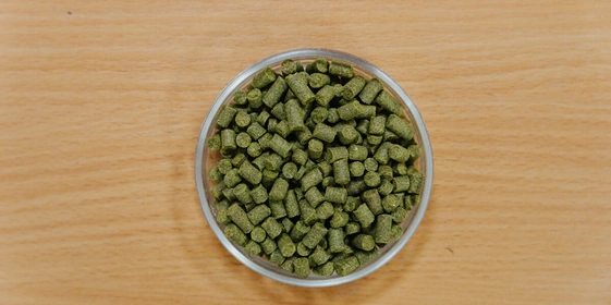 Не «просто добавь воды»: как делают безалкогольное пиво