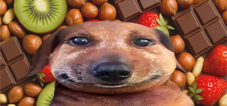 Кусаем, загораем и чешемся: на что аллергия у наших покупателей