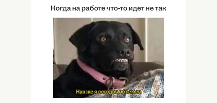 Тренд на комфорт фуд: как простая еда стала лекарством от стресса
