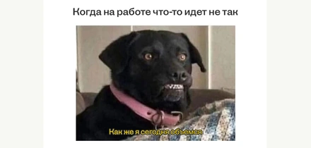 Тренд на&nbsp;комфорт фуд: как простая еда стала лекарством от&nbsp;стресса