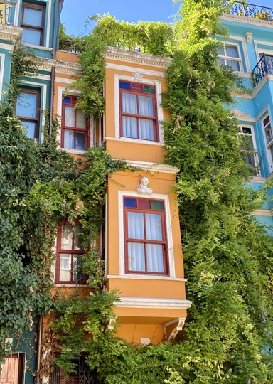 Гастропровал: как я год жила в&nbsp;Стамбуле и&nbsp;пыталась полюбить турецкую кухню