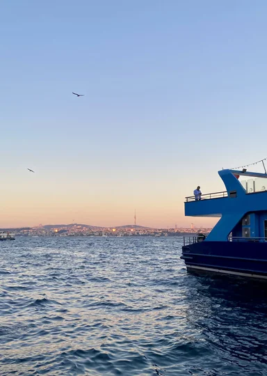 Гастропровал: как я год жила в Стамбуле и пыталась полюбить турецкую кухню