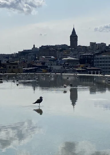 Гастропровал: как я год жила в Стамбуле и пыталась полюбить турецкую кухню