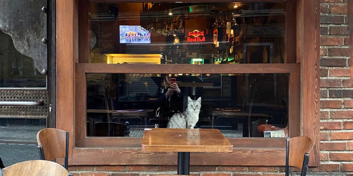 Гастропровал: как я год жила в&nbsp;Стамбуле и&nbsp;пыталась полюбить турецкую кухню