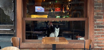 Гастропровал: как я год жила в&nbsp;Стамбуле и&nbsp;пыталась полюбить турецкую кухню