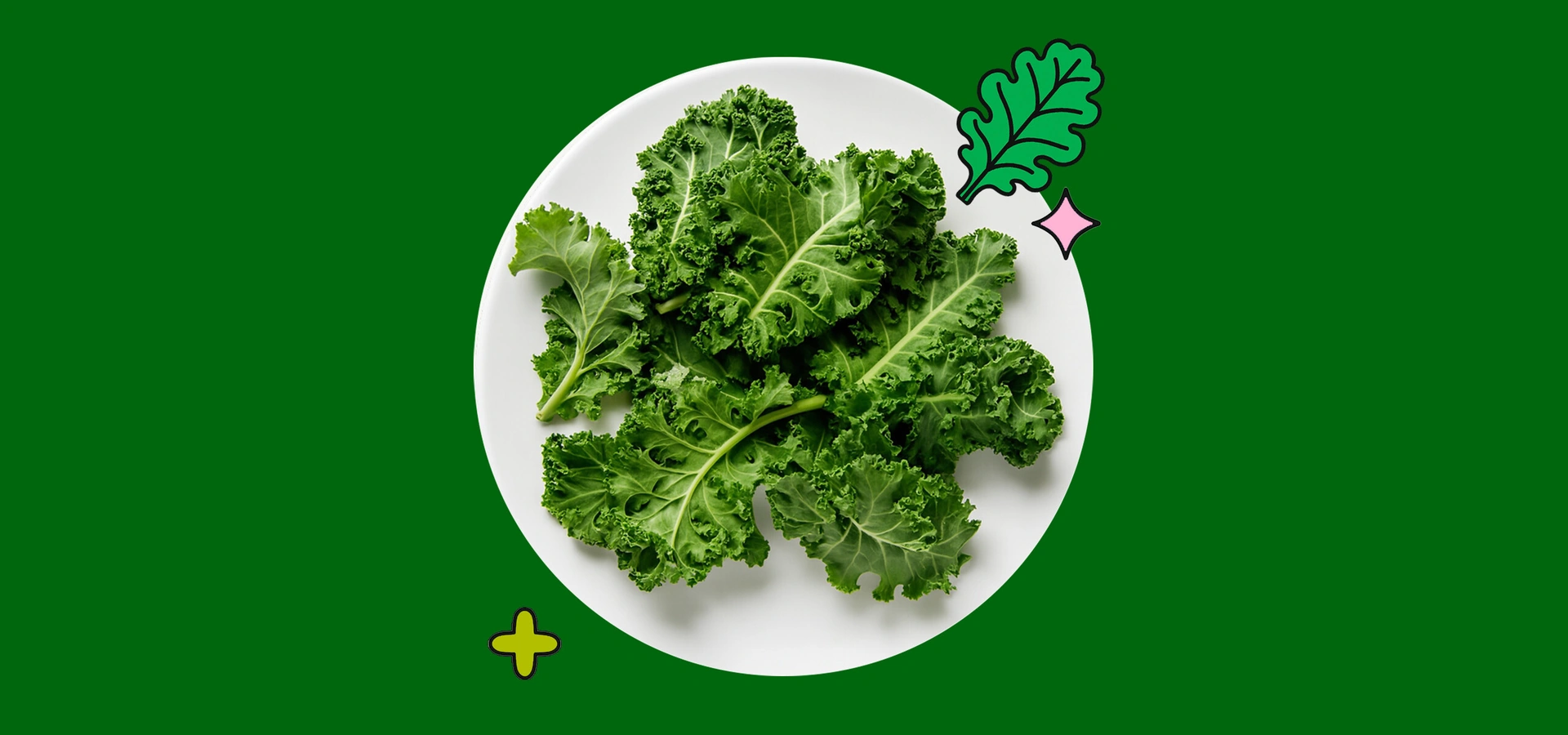 Капуста кейл: правда ли так полезна?