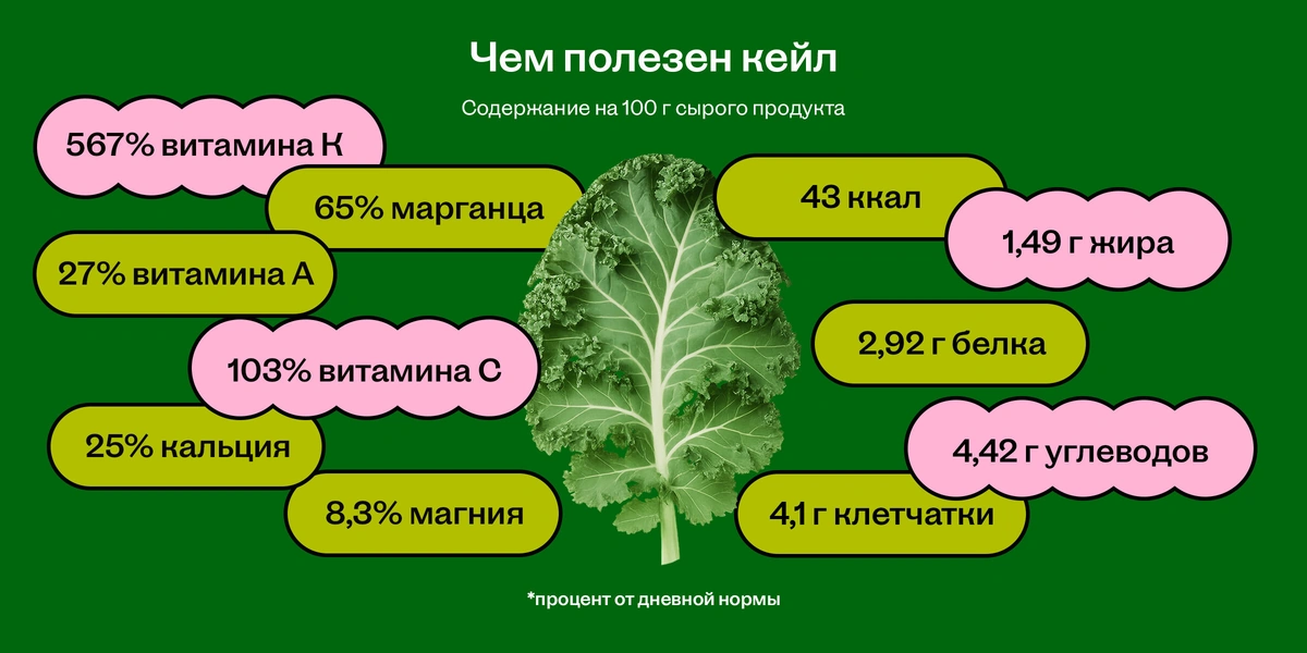 Капуста кейл: правда ли так полезна?