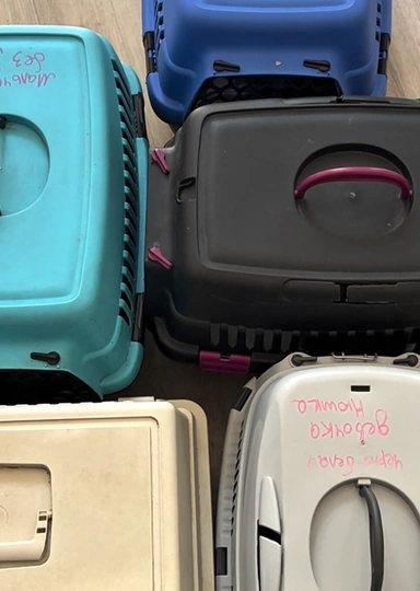 «Я столько мусора убрал за&nbsp;свою жизнь». История Виталия Кузьмина и&nbsp;его блога