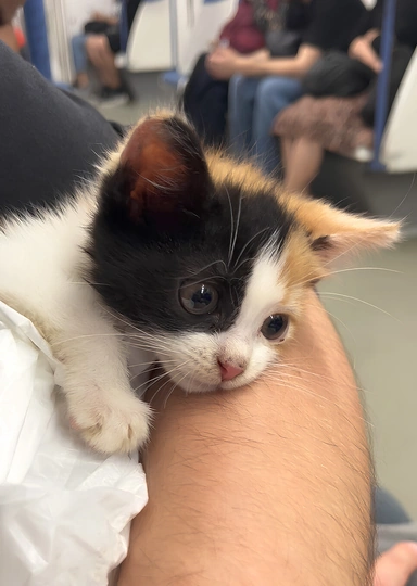 «Я столько мусора убрал за&nbsp;свою жизнь». История Виталия Кузьмина и&nbsp;его блога