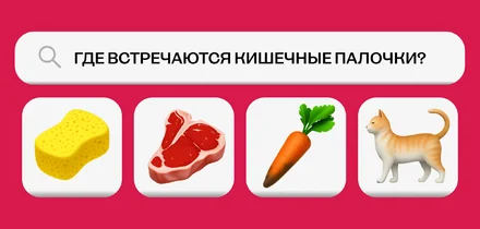 Кишечная палочка — сосед, друг или враг?