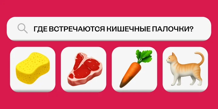 Кишечная палочка — сосед, друг или враг?