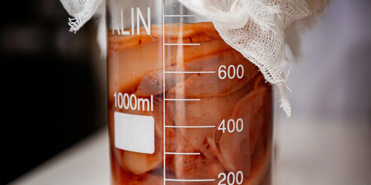 Первая комбуча в России: история поставщика ВкусВилла