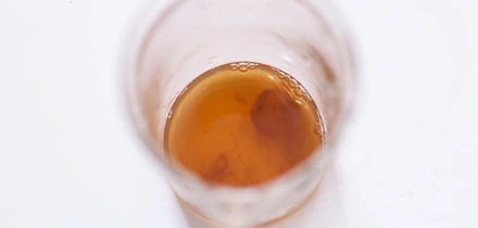 Первая комбуча в России: история поставщика ВкусВилла