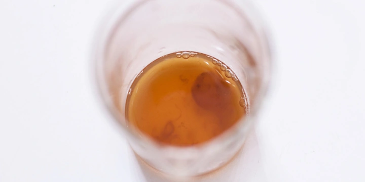 Первая комбуча в России: история поставщика ВкусВилла