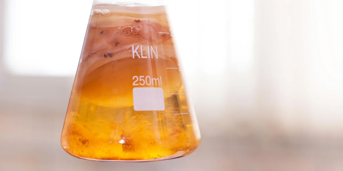 Первая комбуча в России: история поставщика ВкусВилла