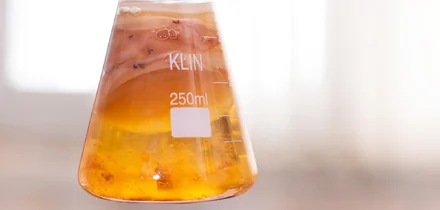 Первая комбуча в России: история поставщика ВкусВилла