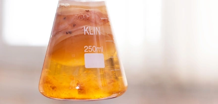 Первая комбуча в России: история поставщика ВкусВилла