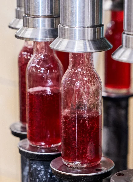 Первая комбуча в России: история поставщика ВкусВилла