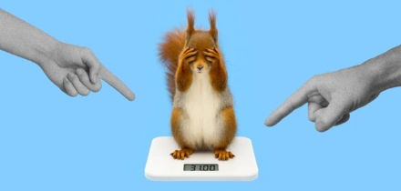 Правда ли, что протеин вреден, а куриная грудка — лучший источник белка