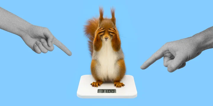 Правда ли, что протеин вреден, а куриная грудка — лучший источник белка