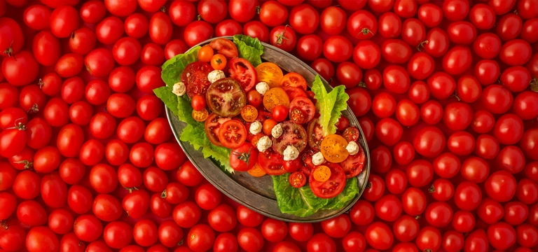 От ачичука до&nbsp;шакшуки: что приготовить из&nbsp;помидоров прямо сейчас и&nbsp;на&nbsp;зиму