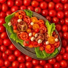 От ачичука до шакшуки: 10 проверенных рецептов с помидорами