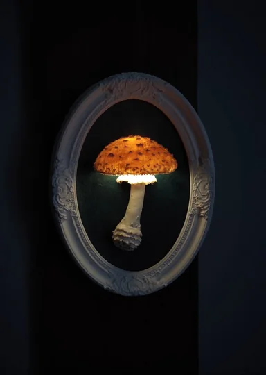 Эти грибы есть нельзя! Но можно носить, зажигать и любоваться — 10 необычных находок