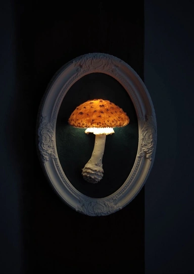 Эти грибы есть нельзя! Но можно носить, зажигать и любоваться — 10 необычных находок