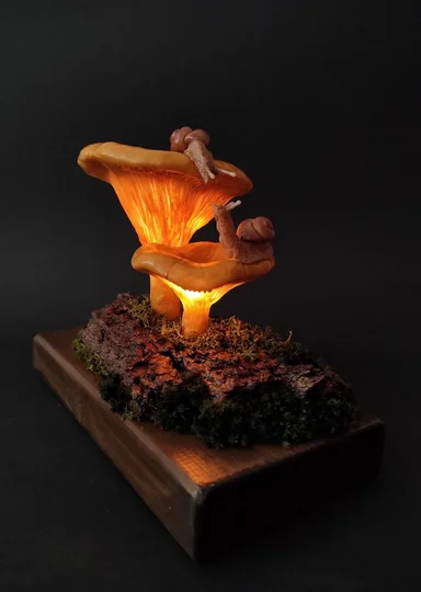 Эти грибы есть нельзя! Но можно носить, зажигать и любоваться — 10 необычных находок