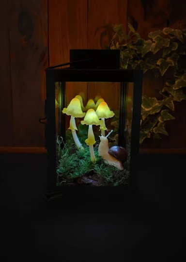 Эти грибы есть нельзя! Но можно носить, зажигать и любоваться — 10 необычных находок