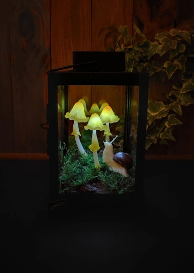 Эти грибы есть нельзя! Но можно носить, зажигать и любоваться — 10 необычных находок