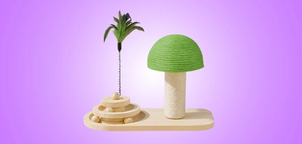 Эти грибы есть нельзя! Но можно носить, зажигать и любоваться — 10 необычных находок