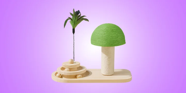 Эти грибы есть нельзя! Но можно носить, зажигать и любоваться — 10 необычных находок