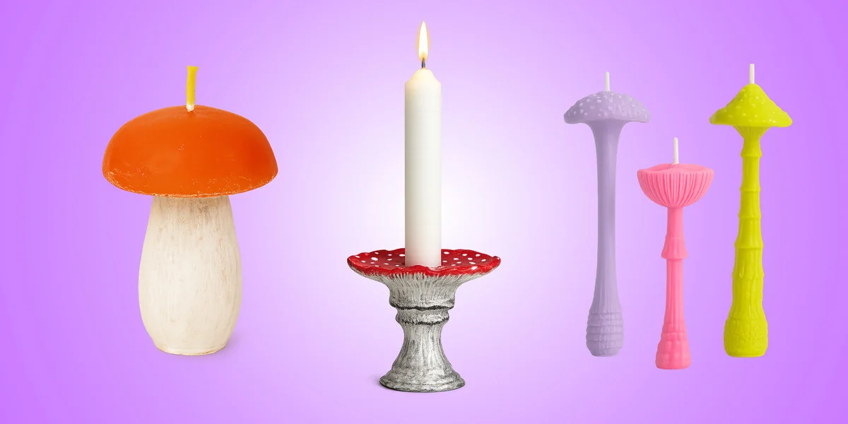 Эти грибы есть нельзя! Но можно носить, зажигать и любоваться — 10 необычных находок