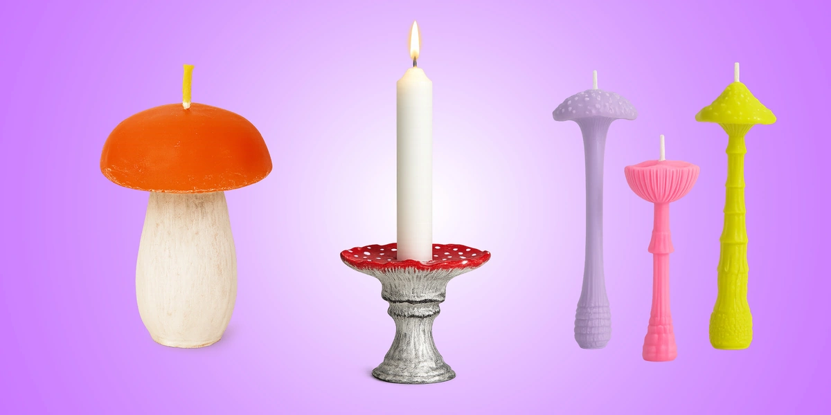 Эти грибы есть нельзя! Но можно носить, зажигать и любоваться — 10 необычных находок